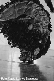 Om Centro de Flamenco La Pantera