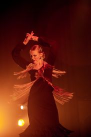 Gör ditt event unikt med en flamencoshow!